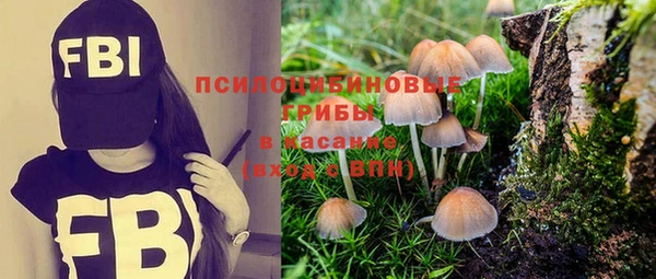 дурь Алексеевка