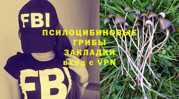 Альфа ПВП Алексин