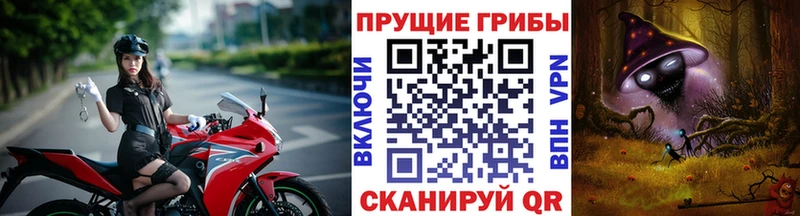blacksprut ONION Кирс Псилоцибиновые грибы мухоморы сколько стоит